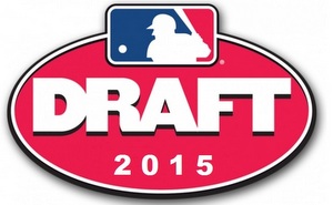 2015 Draft logo
